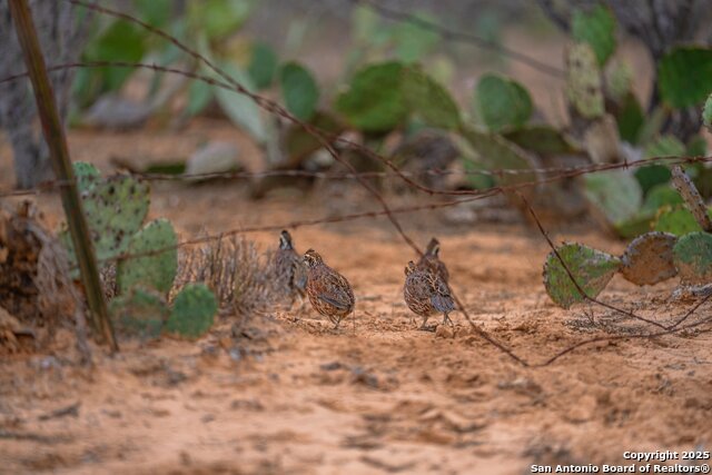 Image 5 of 27 For 773 Toquigny