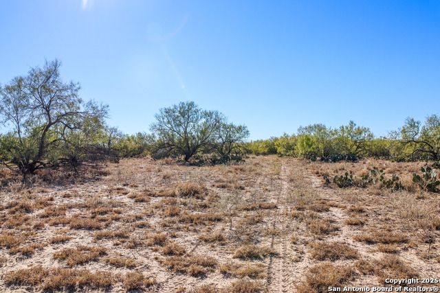 Image 9 of 27 For 773 Toquigny