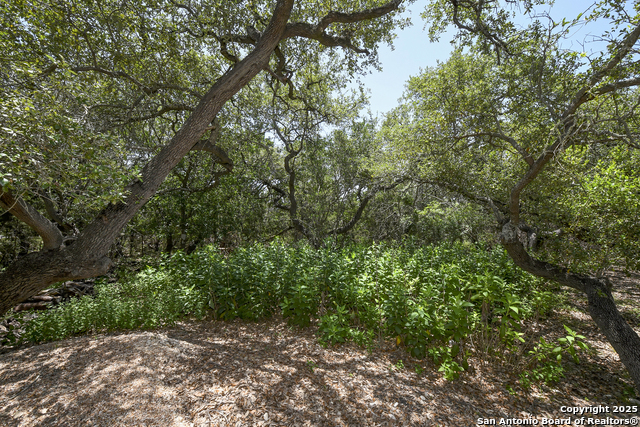 Listing photo id 38 for 464 Paradise Hills