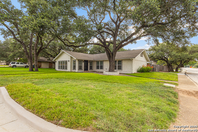 Image 2 of 23 For 14102 Red Maple