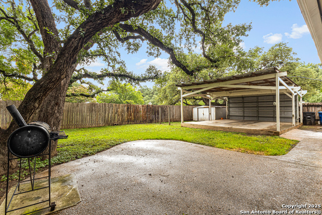 Image 22 of 23 For 14102 Red Maple