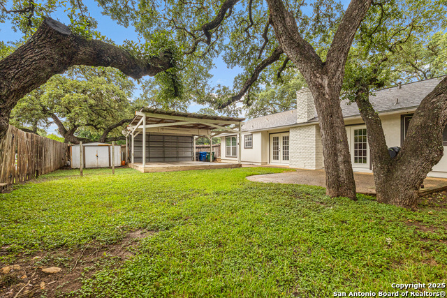 Image 23 of 23 For 14102 Red Maple