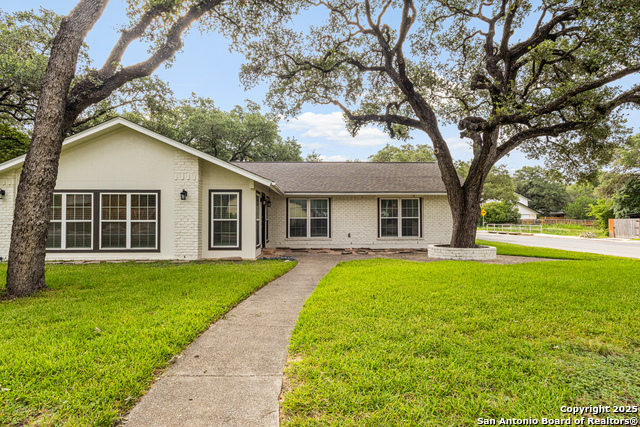 Image 4 of 23 For 14102 Red Maple
