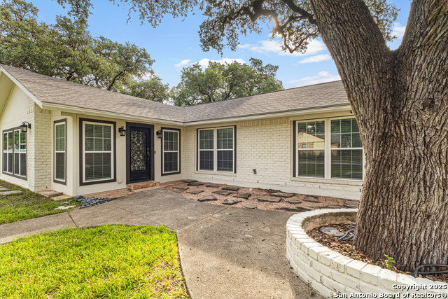 Image 5 of 23 For 14102 Red Maple