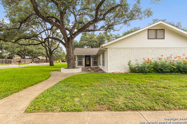 Image 6 of 23 For 14102 Red Maple