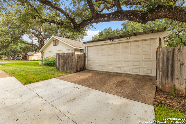 Image 7 of 23 For 14102 Red Maple