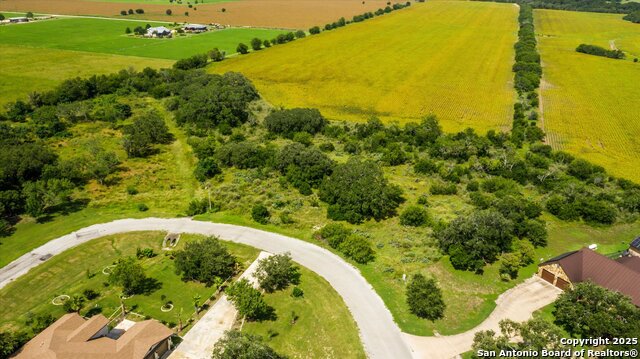 Image 2 of 10 For Lot 37 Pr 3702
