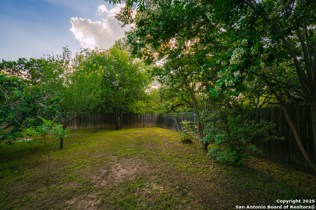 Image 26 of 28 For 6935 Hausman W