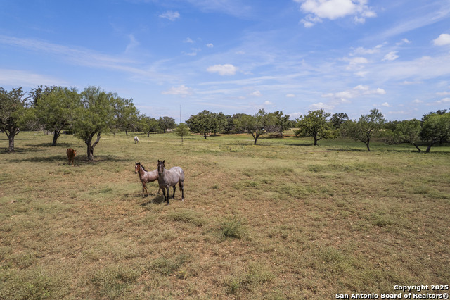 Image 54 of 55 For 1141 Fm 3240