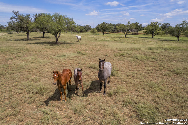 Image 55 of 55 For 1141 Fm 3240