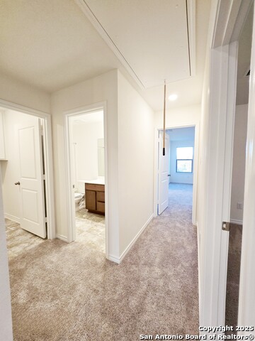 Listing photo id 20 for 10643 Military W Unit 37
