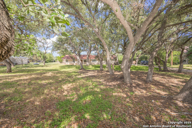 Listing photo id 21 for 9712 Big Geronimo St