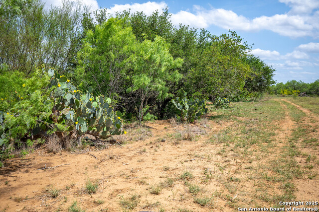 Image 13 of 18 For 500 Pr Goose Creek Ln