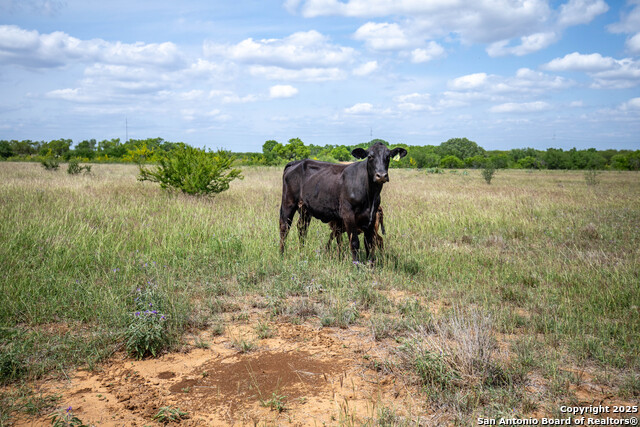Image 17 of 18 For 500 Pr Goose Creek Ln
