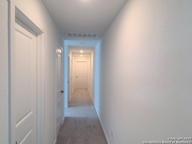 Image 10 of 23 For 4965 Daisy Blossom