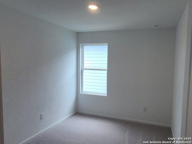 Image 13 of 23 For 4965 Daisy Blossom