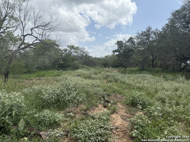 Image 11 of 22 For Tbd Fm 476  