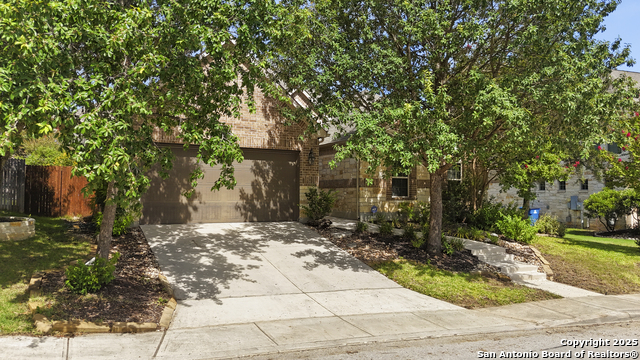 Listing photo id 37 for 3843 Ox-eye Daisy