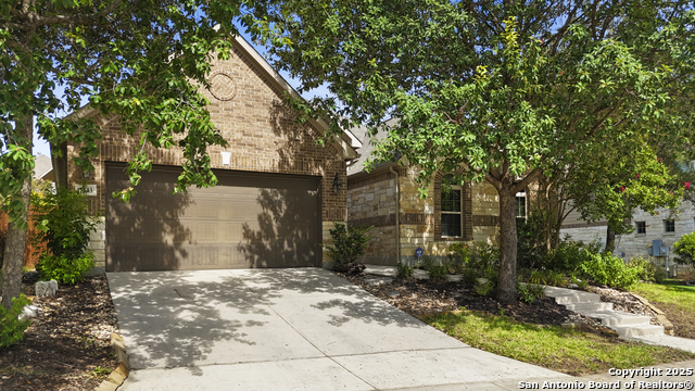 Listing photo id 38 for 3843 Ox-eye Daisy