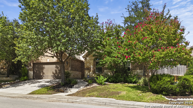Listing photo id 40 for 3843 Ox-eye Daisy