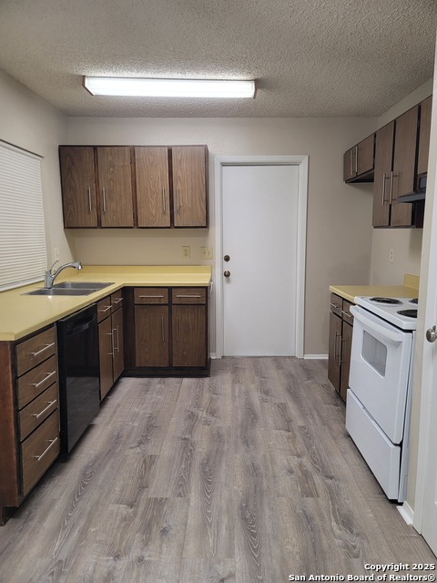 Image 10 of 38 For 10807 Green Brook