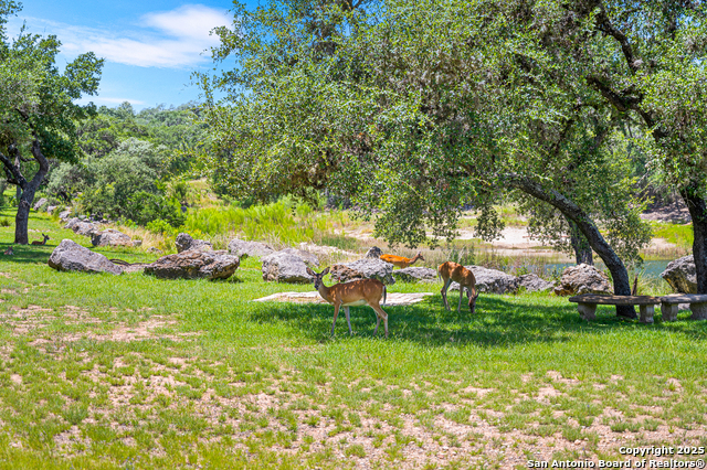 Listing photo id 68 for 690 Kings Point