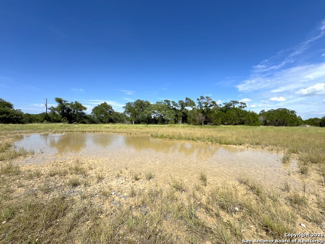 Image 2 of 11 For 311 Toucan  