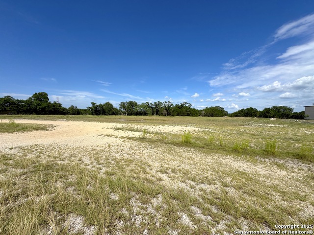 Image 3 of 11 For 311 Toucan  