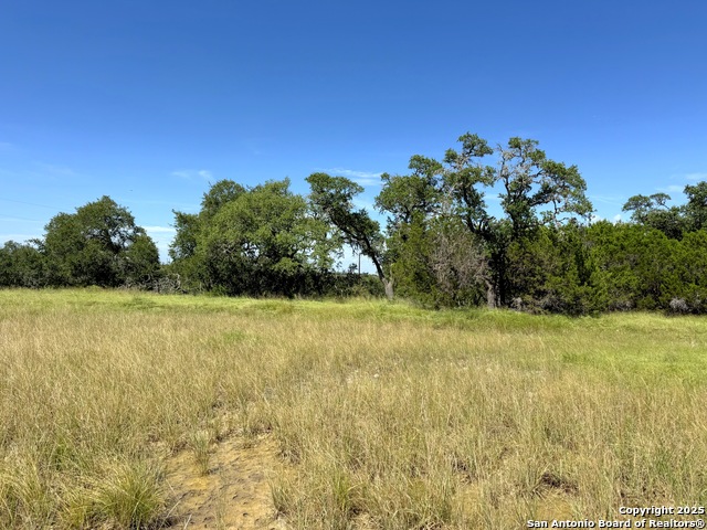 Image 6 of 11 For 311 Toucan  