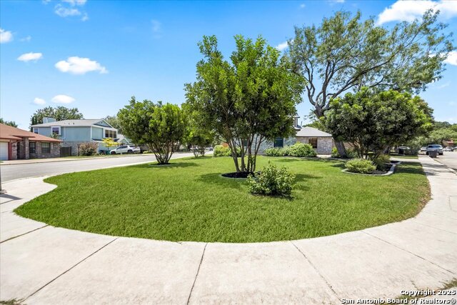 Image 33 of 43 For 10133 Sandyglen