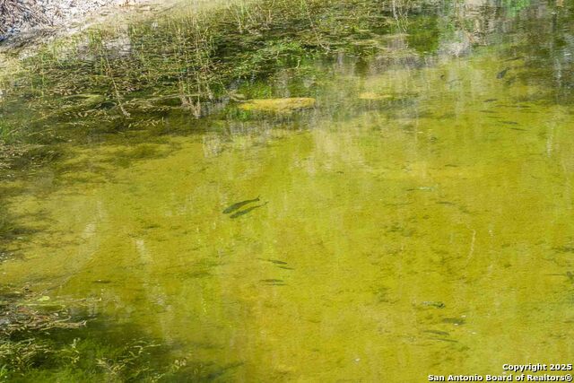 Listing photo id 59 for 171 Flach Rd