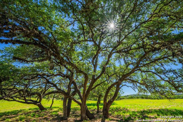 Listing photo id 62 for 171 Flach Rd