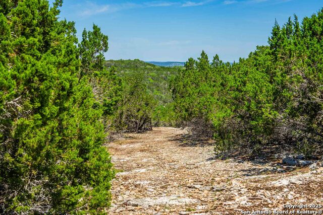 Listing photo id 79 for 171 Flach Rd