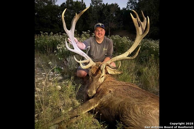 Listing photo id 81 for 171 Flach Rd