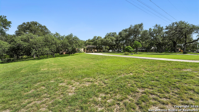 Listing photo id 18 for 781 Mary Preiss