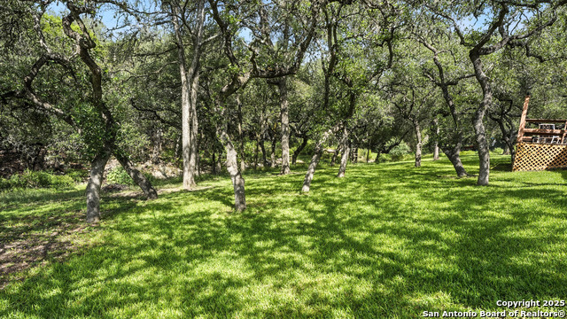 Listing photo id 20 for 781 Mary Preiss