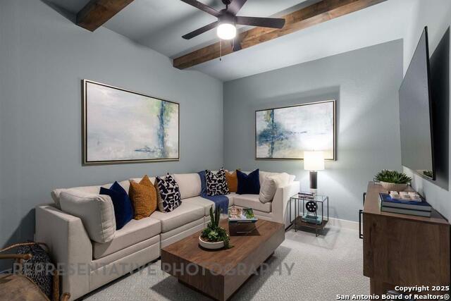 Listing photo id 29 for 163 Olmos Creek