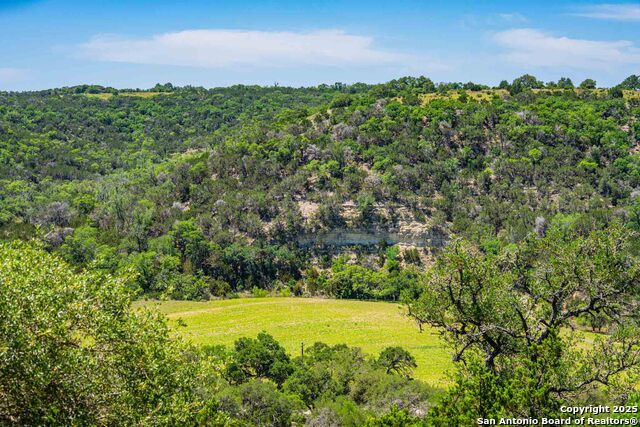 Listing photo id 14 for 165 Flach Rd