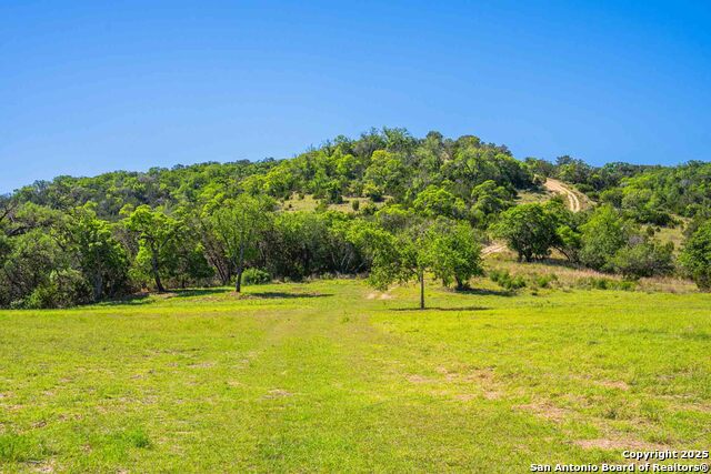 Listing photo id 19 for 165 Flach Rd