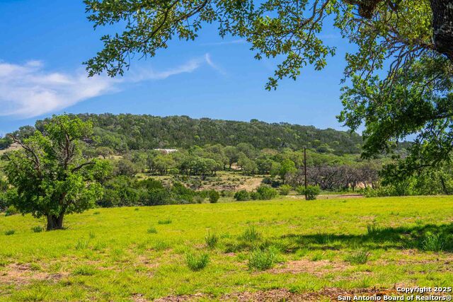 Listing photo id 20 for 165 Flach Rd