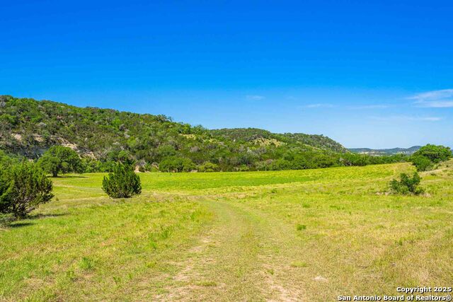 Listing photo id 48 for 165 Flach Rd