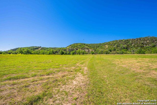 Listing photo id 49 for 165 Flach Rd