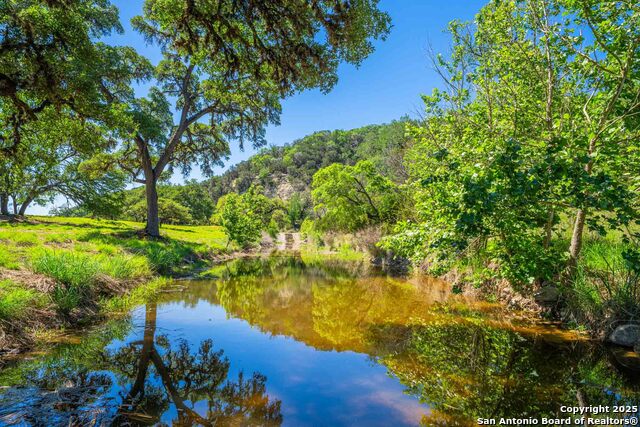 Listing photo id 56 for 165 Flach Rd