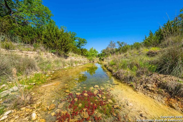Listing photo id 60 for 165 Flach Rd