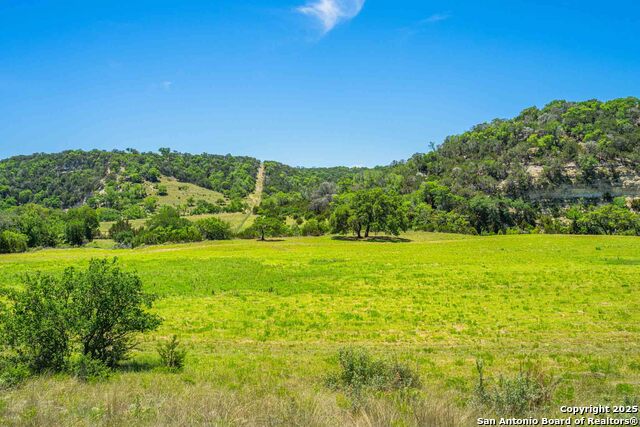 Listing photo id 64 for 165 Flach Rd