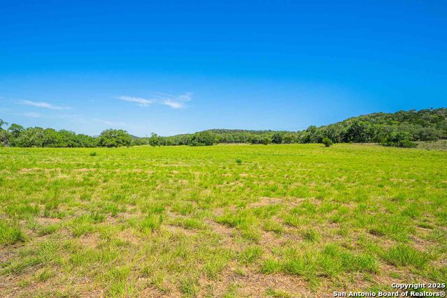 Listing photo id 65 for 165 Flach Rd