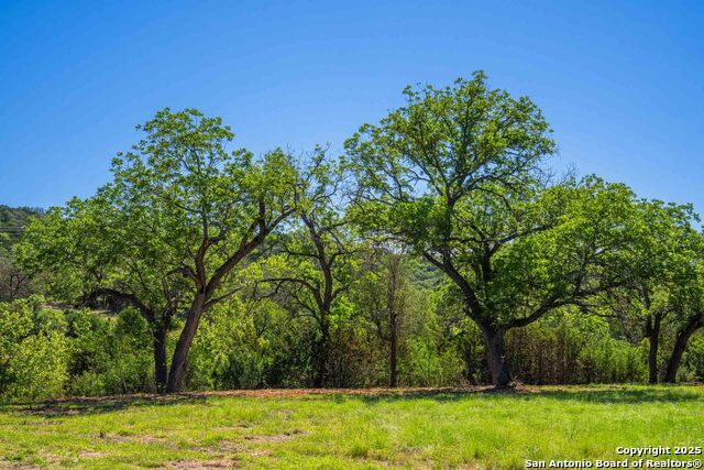 Listing photo id 66 for 165 Flach Rd