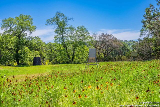 Listing photo id 67 for 165 Flach Rd