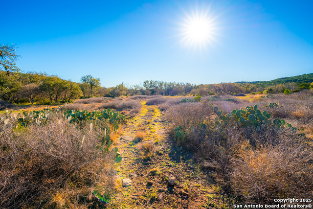Listing photo id 8 for 1659 Mesa Verde