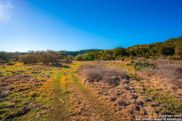 Listing photo id 9 for 1659 Mesa Verde